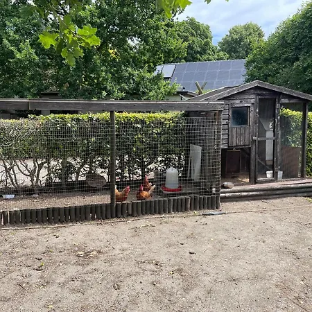 Family With Go-karts, Cleaning Included Uden